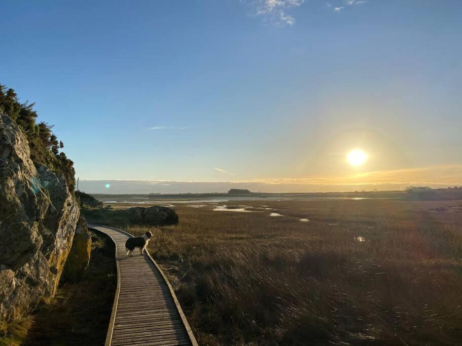 Entire Guest Suite In Four Mile Bridge, Rhoscolyn Valley Luaran gambar